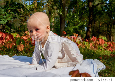 Little wonderful baby crawling on a blanket on a warm summer day in the park 97165971