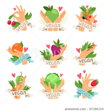 Vegan vector isolated labels with vegetables, fruits, berries and hands. Set of colourful icons for packaging design of vegetarian food Vegan vector isolated labels with vegetables, fruits, berries and hands. Set of colourful icons for packaging design of vegetarian food 97166159