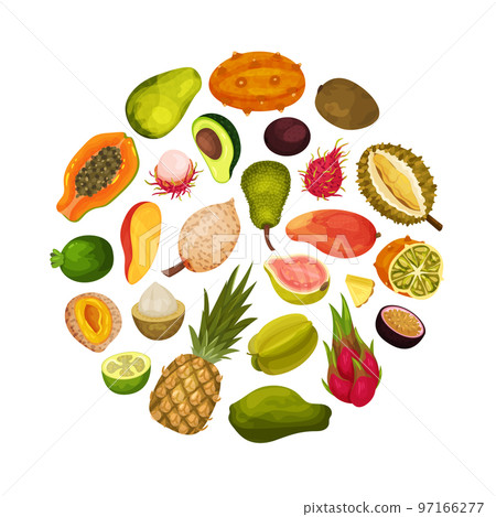 Exotic Fruits Round Composition Design with Ripe and Juicy Tropical Food Vector Template 97166277