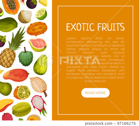 Exotic Fruits Poster or Banner Design with Ripe and Juicy Tropical Food Vector Template 97166278