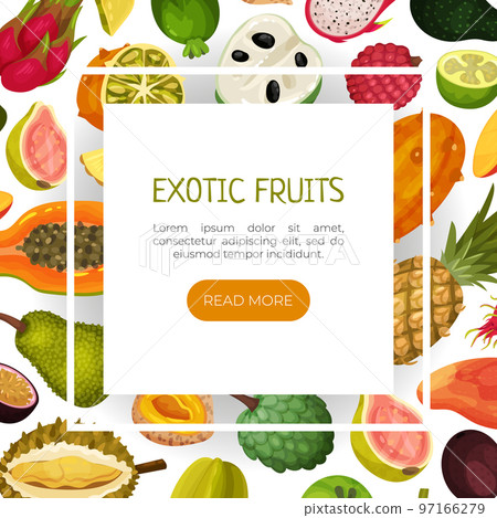 Exotic Fruits Poster or Banner Design with Ripe and Juicy Tropical Food Vector Template 97166279