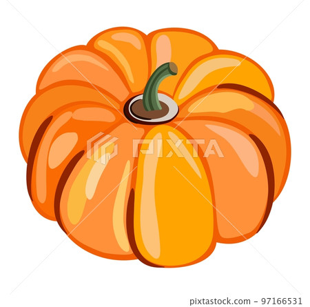 Vector isolated illustration of pumpkin. Vector isolated illustration of pumpkin. 97166531