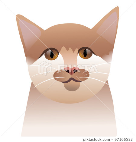 portrait of a cat looking at the camera 97166552