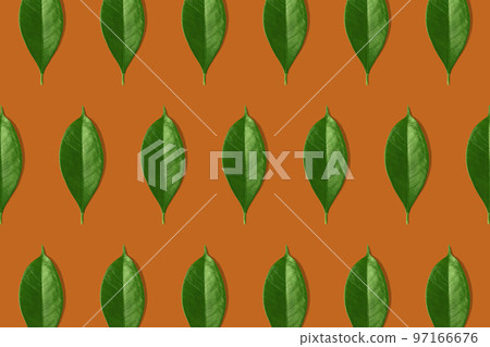 Creative seamless pattern of green leaves on orange background. Creative design in flat lay style. Top view. Mock-up. Creative seamless pattern of green leaves on orange background. Creative design in flat lay style. Top view. Mock-up. 97166676