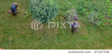 workers mow the grass with a gasoline brushcutter workers mow the grass with a gasoline brushcutter 97167306