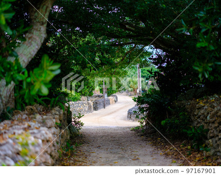 竹富島的城市景觀 97167901