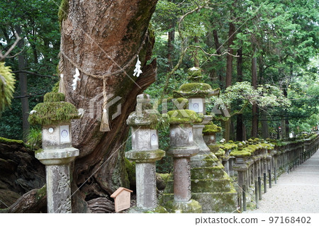 Kasugataisha, Kasugataisha, Kasugataisha, Shrine, Nara, 奈良縣, Shrine, Shikinaisha, 名神大學 Kasugataisha, Kasugataisha, Kasugataisha, Shrine, Nara, 奈良縣, Shrine, Shikinaisha, 名神大學 97168402