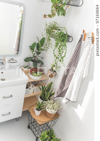 White bathroom minimalist Scandi interior sink mirror potted plant domestic apartment interior White bathroom minimalist Scandi interior sink mirror potted plant domestic apartment interior 97168664