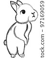 standing black and white rabbit 97169059