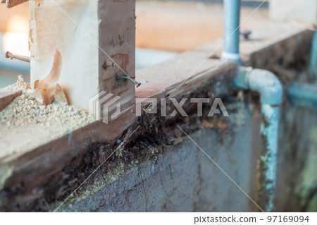 木材腐爛白蟻 97169094