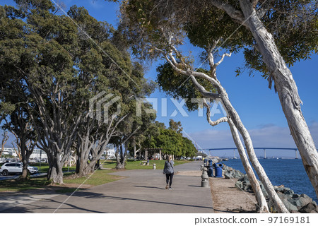 San Diego, USA. September 20, 2022. Rear view of female tourist walking on promenade by trees and sea during sunny day in city 97169181