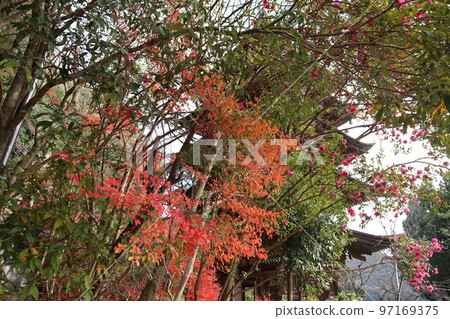 Five-storied pagoda at Ruriko-ji Temple in Yamaguchi in early winter 97169375