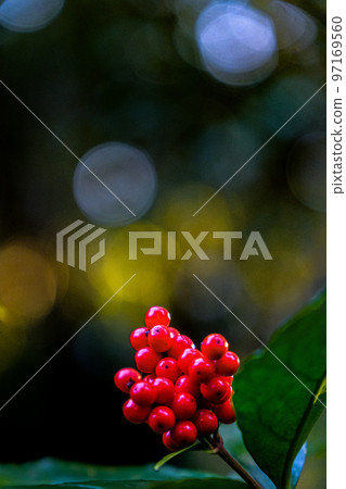 Thousands of people 97169560