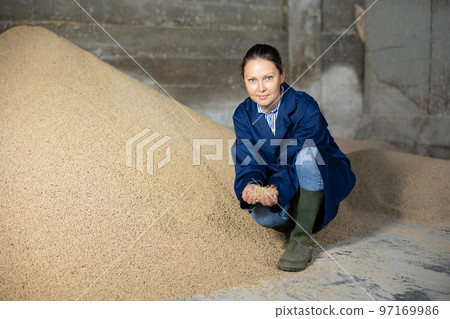Woman farmer squatting at heap of soybean husk Woman farmer squatting at heap of soybean husk 97169986