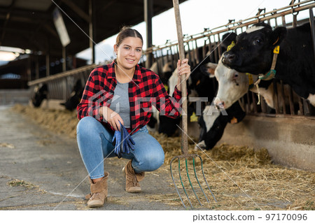 Portrait of positive woman farmer with pitchfork in cowhouse Portrait of positive woman farmer with pitchfork in cowhouse 97170096