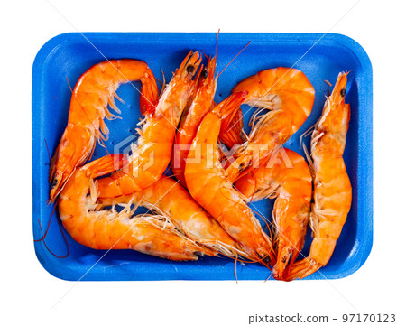Prawns in blue plastic tray 97170123