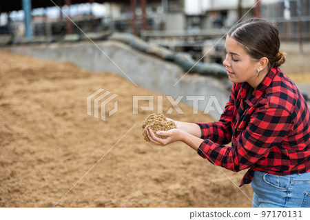 Young woman farmer holding beer oilcake in hands in fodder storage Young woman farmer holding beer oilcake in hands in fodder storage 97170131