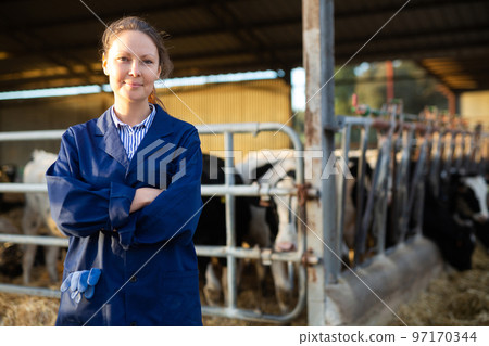 Cheerful woman posing in cowshed on farm breeding dairy cows 97170344