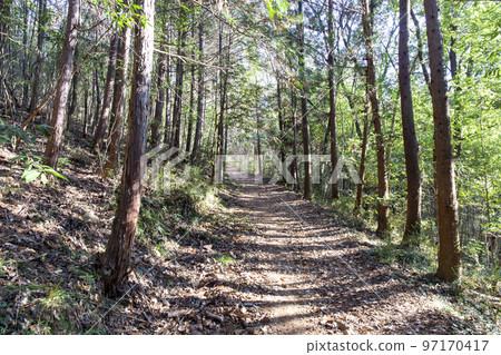 Okoyama mountain trail in Ashikaga city, Tochigi prefecture 97170417