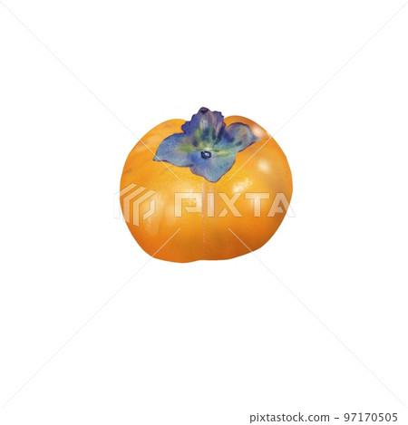 Fruit real persimmon Fruit real persimmon 97170505