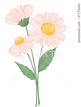 cute daisy flower watercolour illustration cute daisy flower watercolour illustration 97170840