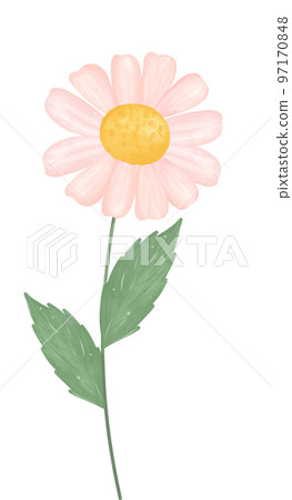 cute daisy flower watercolour illustration cute daisy flower watercolour illustration 97170848