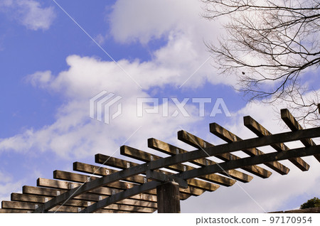 Fuyuki, the loneliness of late autumn facing the winter sky Fuyuki, the loneliness of late autumn facing the winter sky 97170954