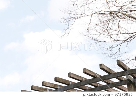 Fuyuki, the loneliness of late autumn facing the winter sky 97170955