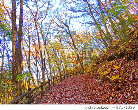 深秋繆斯公園 97171359