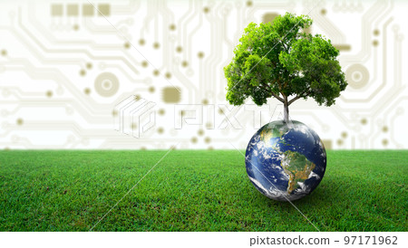 Tree growing on Earth with green grass. Digital and Technology Convergence. Green Computing, Green Technology, Green IT, csr, and IT ethics Concept. Image furnished by NASA. 97171962