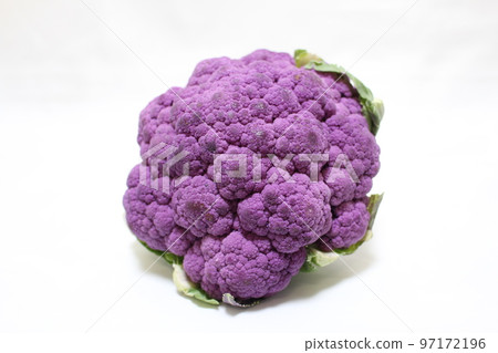 Purple cauliflower Purple cauliflower 97172196