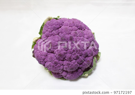 Purple cauliflower 97172197