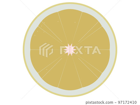 "Cross section of grapefruit" Marsh 97172410