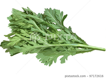 Oil painting style garland chrysanthemum 97172616