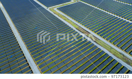 Aerial view of solar farm. Solar power for green energy. Sustainable resources. Solar cell panels use sun light as a source to generate electricity. Photovoltaics or PV. Sustainable renewable energy. 97173123