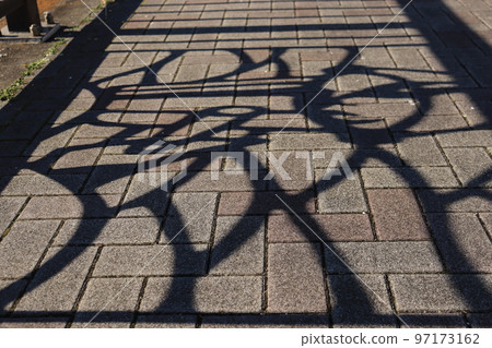 Shadow picture Shadow picture 97173162
