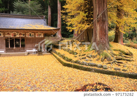 Autumn leaves at Taguchi Mikumari Shrine in Uda City Autumn leaves at Taguchi Mikumari Shrine in Uda City 97173282