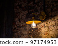 Fancy lamp and brick wall 97174953