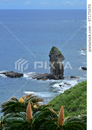 與那國島/ Tategami岩石 與那國島/ Tategami岩石 97175070