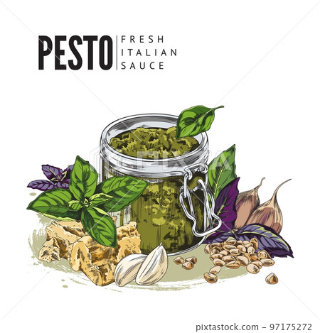Hand drawn colorful pesto into glass jar sketch style, vector illustration Hand drawn colorful pesto into glass jar sketch style, vector illustration 97175272