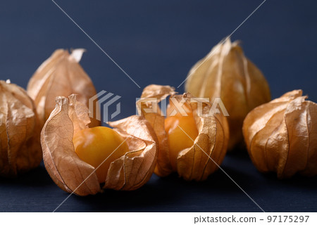 Cape gooseberry, golden berry or ground cherry (Physalis peruviana), Ripe orange fruit 97175297