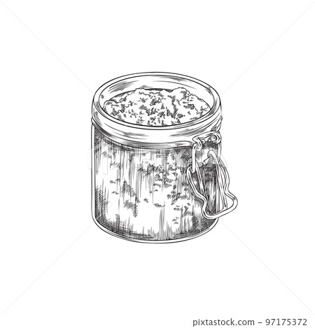 Hand drawn monochrome glass jar with dried basil sketch style Hand drawn monochrome glass jar with dried basil sketch style 97175372