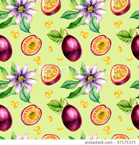 Purple passion fruit and splash juice watercolor seamless pattern isolated on green. Purple passion fruit and splash juice watercolor seamless pattern isolated on green. 97175375