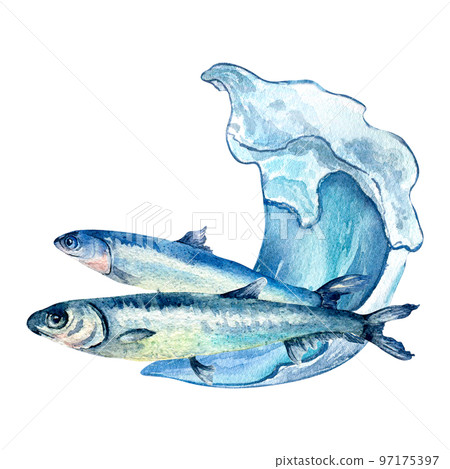 Composition of anchovies and sea wave watercolor illustration isolated on white background. 97175397