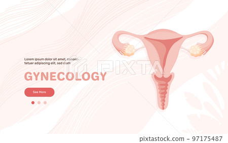 Landing page with uterus illustration, banner about women s health, menstruation or conception. Vector template with copy space, flat design. Landing page with uterus illustration, banner about women s health, menstruation or conception. Vector template with copy space, flat design. 97175487