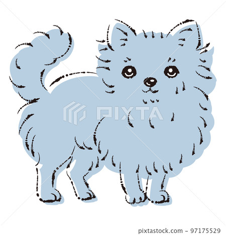 Simple and cute Chihuahua hand-drawn line drawing vector illustration 97175529