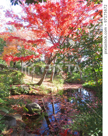 Soho Park, Ota-ku, Tokyo Autumn leaves reflected on the surface of the water 97175672