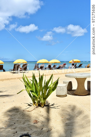 Holidays in Hawaii 97175686
