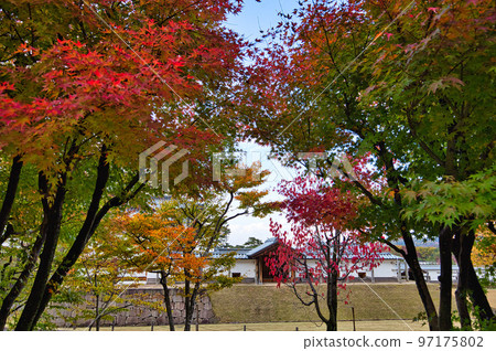 金澤城公園 97175802