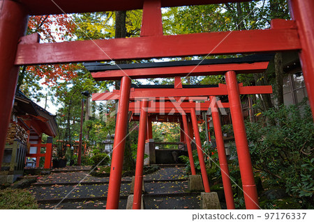 Autumn leaves - Kenrokuen Autumn leaves - Kenrokuen 97176337
